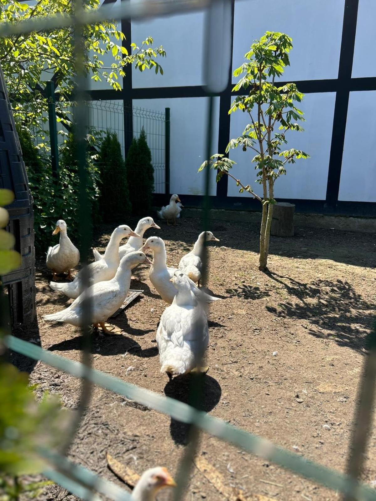 Pokoje Goscinne Nad Morzem Bobolin Exteriör bild